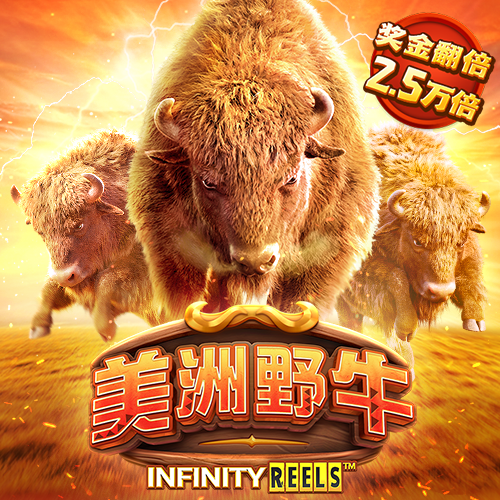 Bet9九州体育