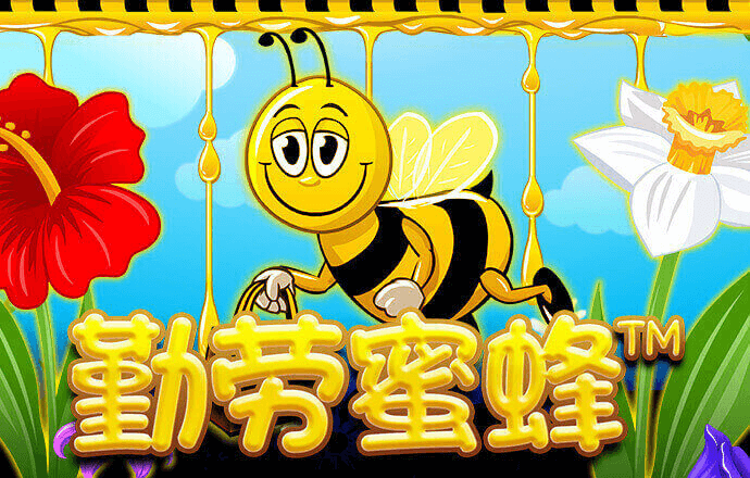888集团官网游戏特色